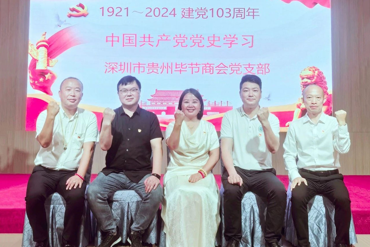 深圳市贵州毕节商会党支部组织党史学习