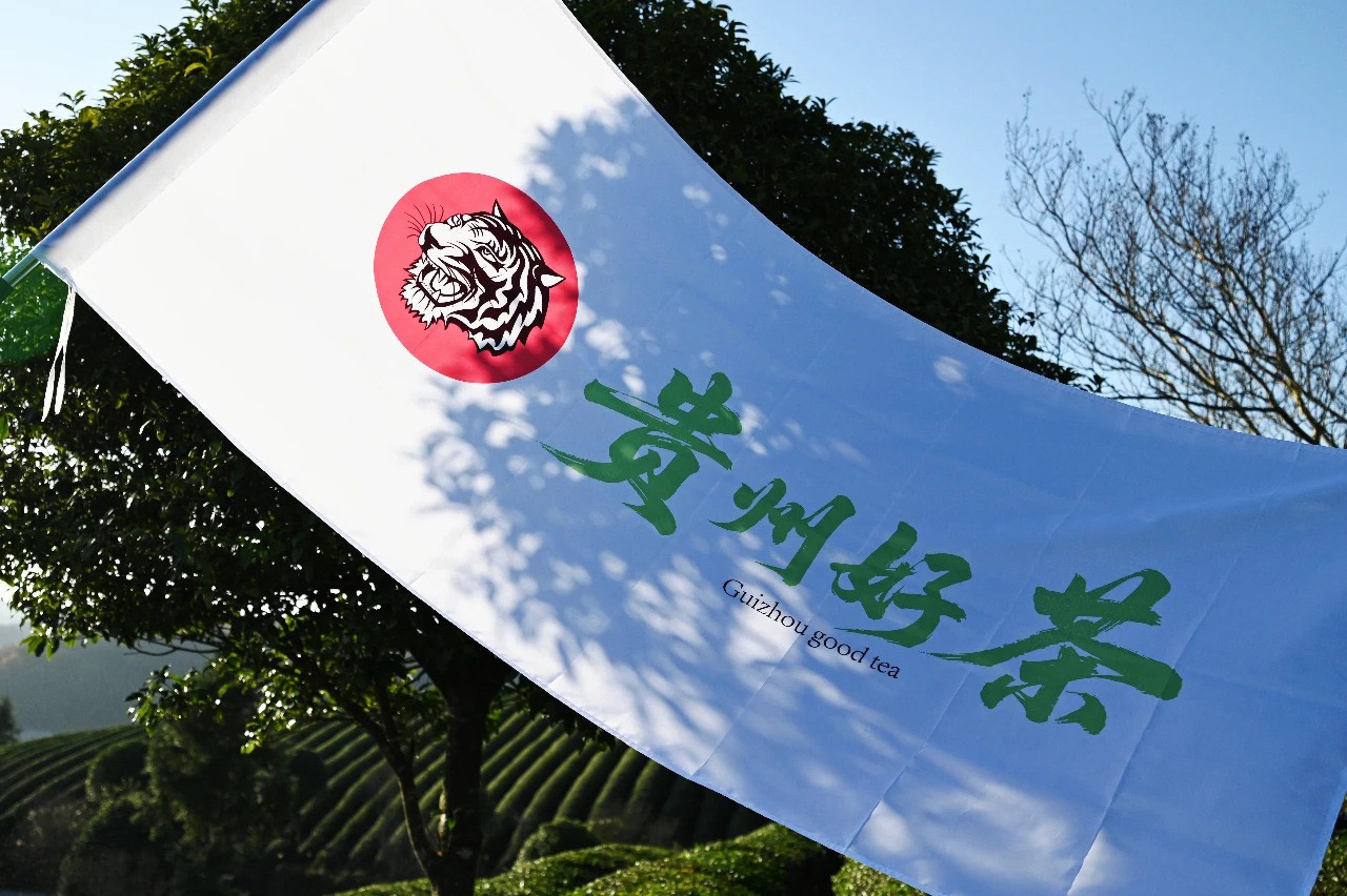 溯源广州市贵州商会严选佳品“贵州好茶”